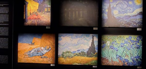 Van Gogh: The Immersive Experience by null