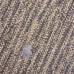 LA Fitness - More gum