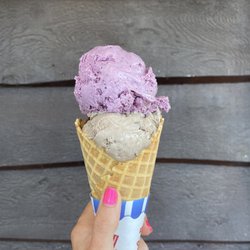 Wild huckleberry + cookies and cream