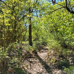Big Run Park - Small side trail to stream