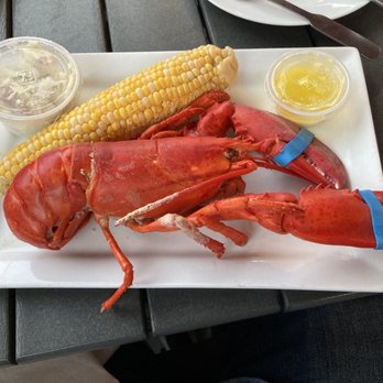 The Lobster Trap - Single Lobster steam meal - Seafood Near Me - Bourne, Massachusetts