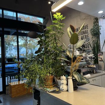 Cafe Comma - Coffee & Tea Near Me - Atlanta, Georgia