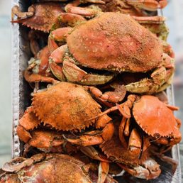 Jumbo blue crabs Jumbo blue crabs