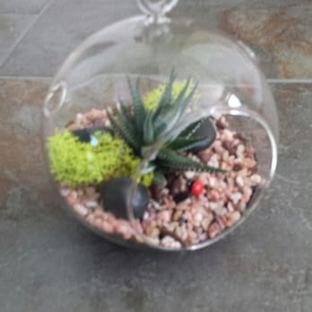 Lady Bug Flower & Gift Shop - Florists Near Me - Redmond, Oregon