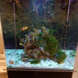 Galileo Surgery Center - Cute fishes in the waiting room. Much better than last time I was here!