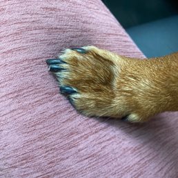 Nail trim! Nail trim!