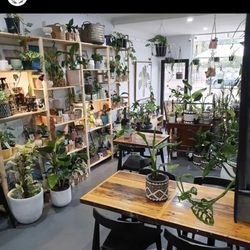 Banks And Brown - The beautiful cafe ( photo is from Banksandbrown: insta page)