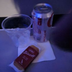 American Airlines - Full can of Diet Coke and Biscoff cookies. I just woke up and didn't turn on the light.