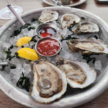 Topsail - Oyster - American Near Me - San Diego, California Topsail - Oyster - American Near Me - San Diego, California