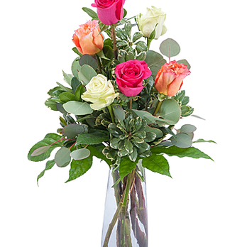 Gloucester Florist - Florists Near Me - Hayes, Virginia Gloucester Florist - Florists Near Me - Hayes, Virginia
