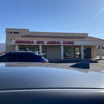 ARIZONA AVENUE ANIMAL CLINIC - Updated August 2025 - 25