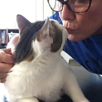 Santa Barbara Pet Sitters - Pet Sitting Near Me Santa Barbara Pet Sitters - Pet Sitting Near Me