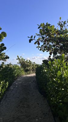 Amrit Ocean Resort by null