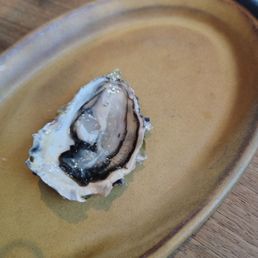 Oysters Oysters