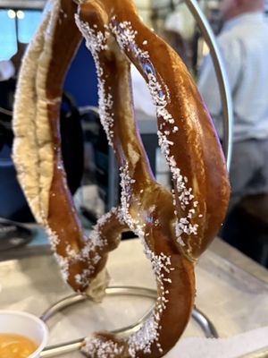 Bottlenose Brewing by null