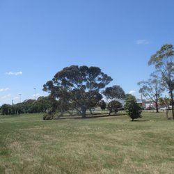 Stead Park - Park