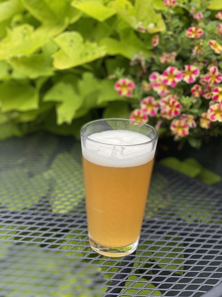 Great Adirondack Brewing