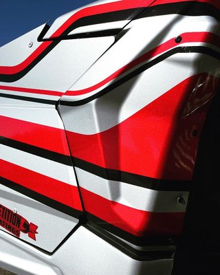 Cactus Wraps by null