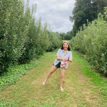BJ Reece Orchards - Fruits & Veggies Near Me - Ellijay, Georgia
