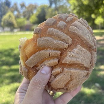 Melly’s Bakery - Concha - Bakeries Near Me - Winnetka, California Melly’s Bakery - Concha - Bakeries Near Me - Winnetka, California