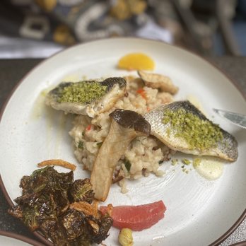 Four Brothers - Branzino - Southern Near Me - San Antonio, Texas Four Brothers - Branzino - Southern Near Me - San Antonio, Texas