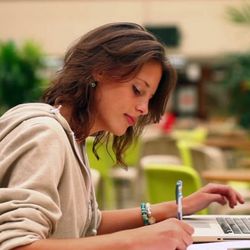 Essay Champion