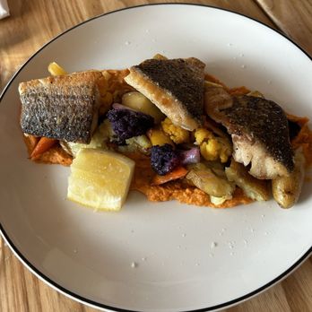 Bar Corallini - Grilled sea bass - Bars Near Me - Madison, Wisconsin