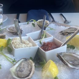 Oysters