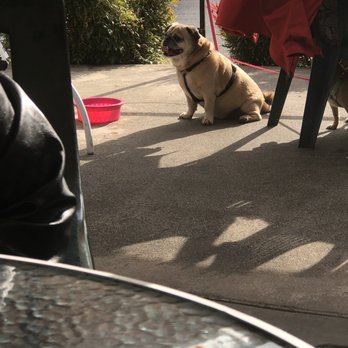 JJ's Fish House - Dog - Seafood Near Me - Poulsbo, Washington JJ's Fish House - Dog - Seafood Near Me - Poulsbo, Washington