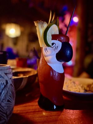 The Jungle Bird by null