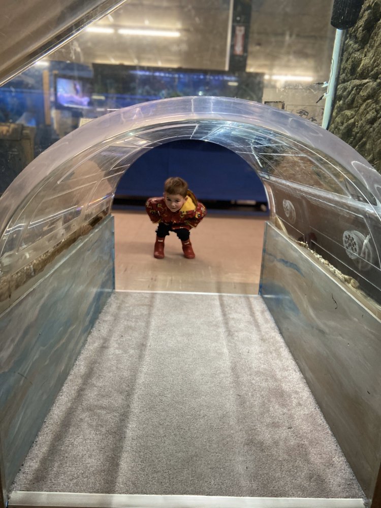 Aquariums BIOMES 100 Photos & 70 Reviews 6640 Post Rd, North