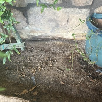 Robinson Realty and Management - Exposed fascia in flower bed - Property Management Near Me - Las Vegas, Nevada