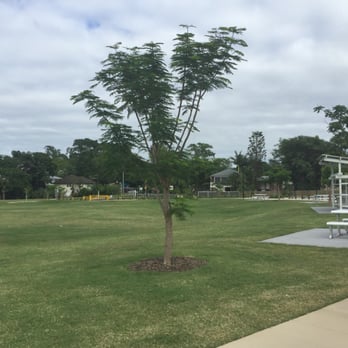 Frew Park - A large grassy area surrounded by a sidewalk loop that kids love to ride or scooter around. - Tennis Near Me - Milton, QLD