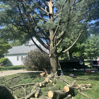 Mike Rupe Tree Service - Tree Services Near Me - Schoolcraft, Michigan Mike Rupe Tree Service - Tree Services Near Me - Schoolcraft, Michigan