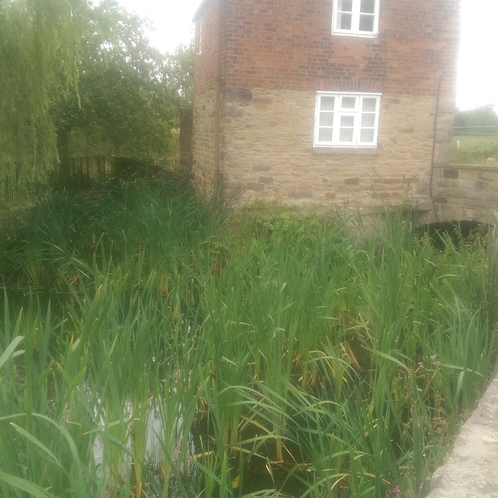 Rother Valley County Park - Parks Near Me - Rotherham, ABE
