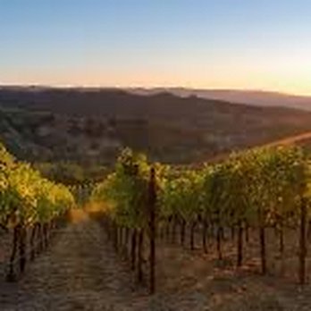 Frisco Limo - Napa Valley - Limos Near Me - San Francisco, California Frisco Limo - Napa Valley - Limos Near Me - San Francisco, California