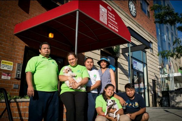 Trusty Amigos Dog Walking and Pet Care Cooperative