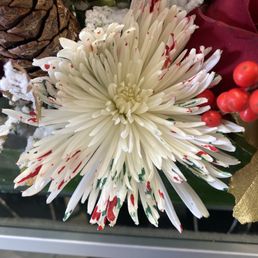 Beautiful painted flower for Christmas