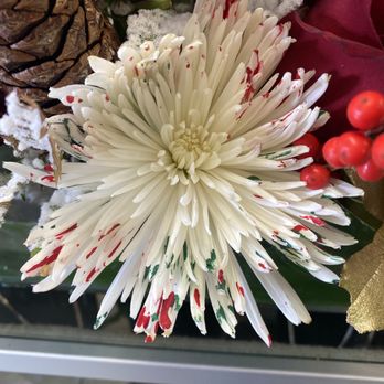 El Jardin de Adela - Beautiful painted flower for Christmas - Florists Near Me - Laguna Hills, California El Jardin de Adela - Beautiful painted flower for Christmas - Florists Near Me - Laguna Hills, California