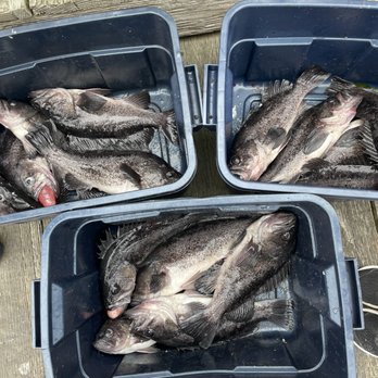 Betty Kay Charters - Lots of rockfish - Boating Near Me - Coos Bay, Oregon Betty Kay Charters - Lots of rockfish - Boating Near Me - Coos Bay, Oregon