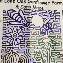 The Lone Oak Sunflower Farm & Corn Maze - 2022 Corn Maze Map