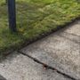 Photo of Stepanians Landscaping