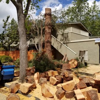 One Two Tree Care - Tree Services Near Me - Tracy, California