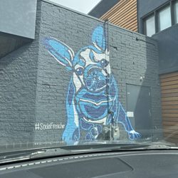 Walgreens Community Pharmacy - Mural on the building - a blue Frenchie #sodofrenchie