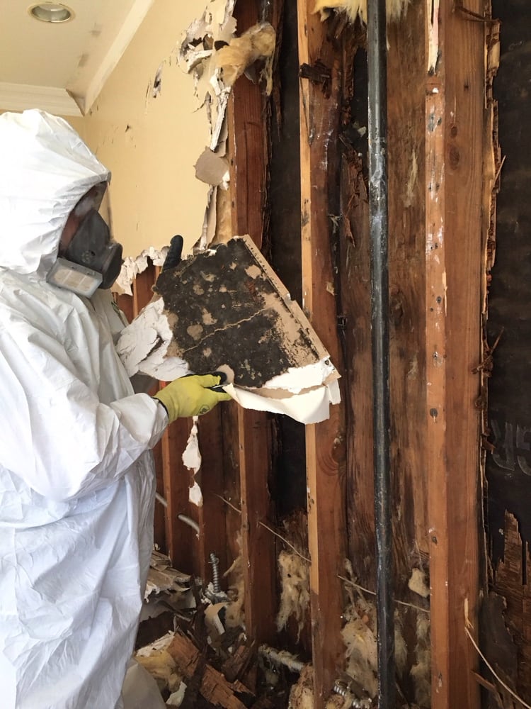 Mold Masters - mold inspector in Long Beach, CA