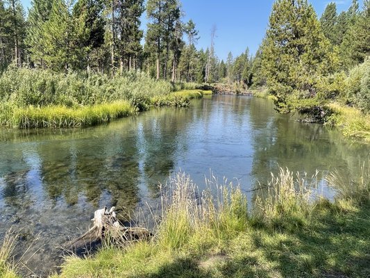 LaPine State Park by null