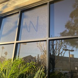 Disney Window Cleaning