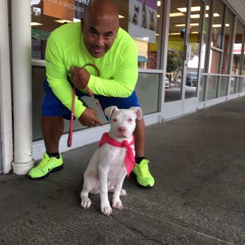 Cali K9 - Pet Training Near Me - San Jose, California