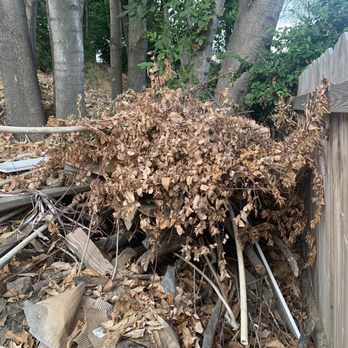 Portillo Gardening, Tree Service, Landscaping - Before - Tons of debris to clean and haul - Landscaping Near Me Portillo Gardening, Tree Service, Landscaping - Before - Tons of debris to clean and haul - Landscaping Near Me