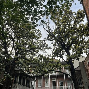 Place d'Armes Hotel - The courtyard - Hotels Near Me - New Orleans, Louisiana